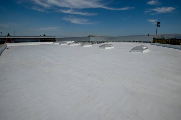 Best Flat Roofing  in Nogales, AZ