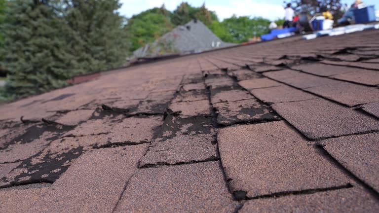 Best Rubber Roofing (EPDM, TPO)  in Nogales, AZ