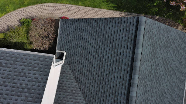 Best Emergency Roof Repair Services  in Nogales, AZ