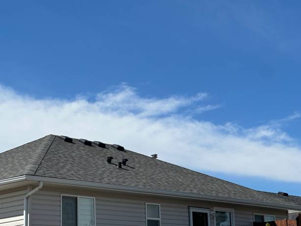Best Emergency Roof Repair  in Nogales, AZ
